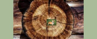 riecht nach Natur